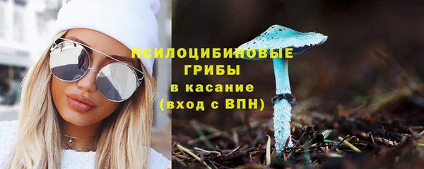 эйфоретик Инсар