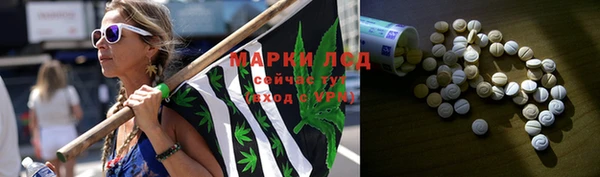 эйфоретик Инсар