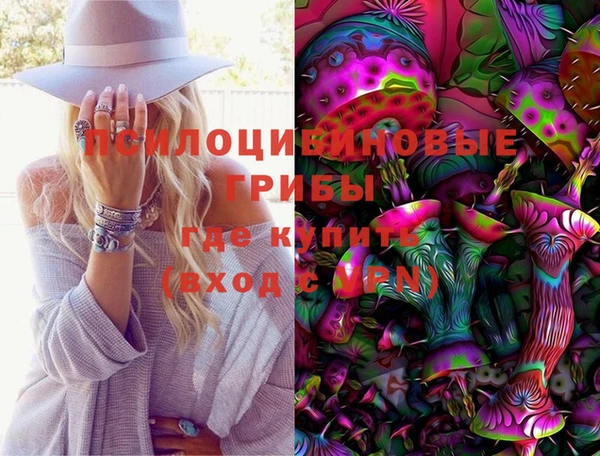 эйфоретик Инсар