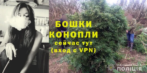 эйфоретик Инсар
