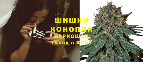 молекула духа Галич